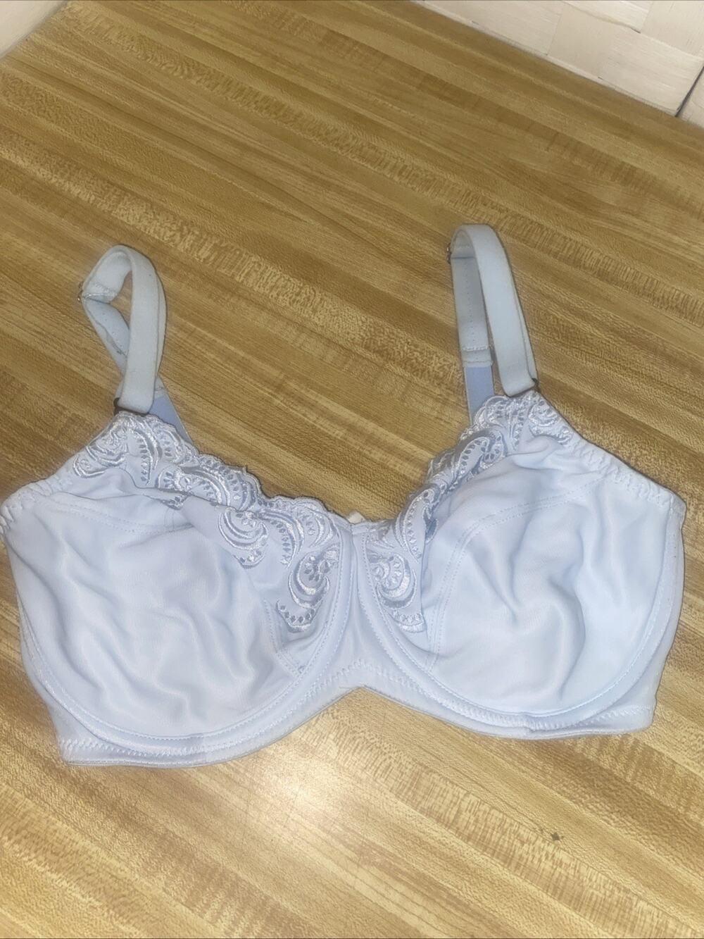 LILYETTE Pale Blue Nylon Underwire Full Coverage Bra 34D Style 417 Back Closure